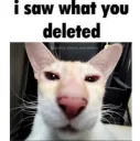 i saw what you deleted