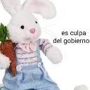 culpa_gobierno