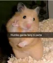I Dont Care