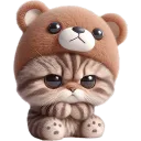 pouting cat bear