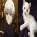 Kanekicat