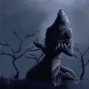 NOOOOOO