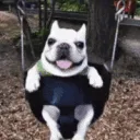 happy swing
