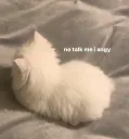 no talk me i angy