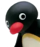 pingu peek