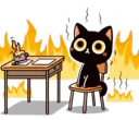 fire_cat