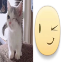remake