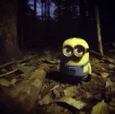 minion