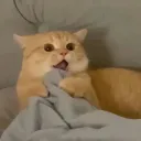 Wow