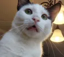 bertrand