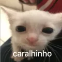 Caralhinho