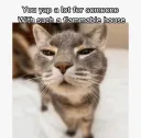 Yapper
