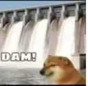 Dam
