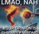 Your Opinion is Shrimply Wrong