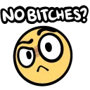 no bitches