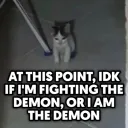 demon_cat