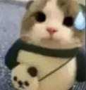 ggwavygg