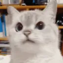 Nhi 