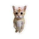 jsacatgirl .gg/destroyd