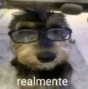 realmente