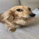 side eyes