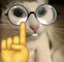 nerdcat