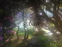sybau