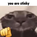 stinky cat