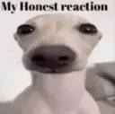 my honest reaction