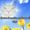 Sunshine .gg/Chemical