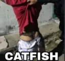 catfish