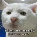 StutterInText