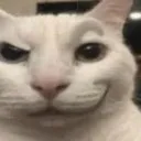 sticker_1739607814616