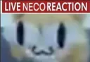 live neco reaction