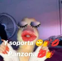 soporta panzona