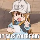 It_says_you_are_gay