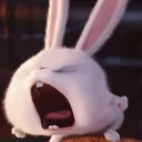 angrybunny