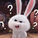 nebunny