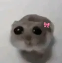 womenmouse