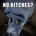 no bitches