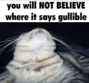 gullible