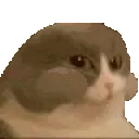 sticker_1741896905627