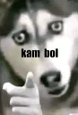 FWWF_KAM-BOL