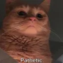CatPathetic