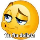 fiu fiu 