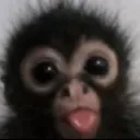 realcost_monkey silly monkey