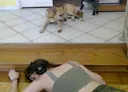 Ded