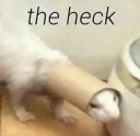 The heck