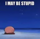 stupid maybe