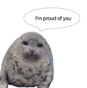 Im proud of youj